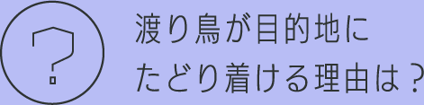 渡り鳥が目的地にたどり着ける理由は？
